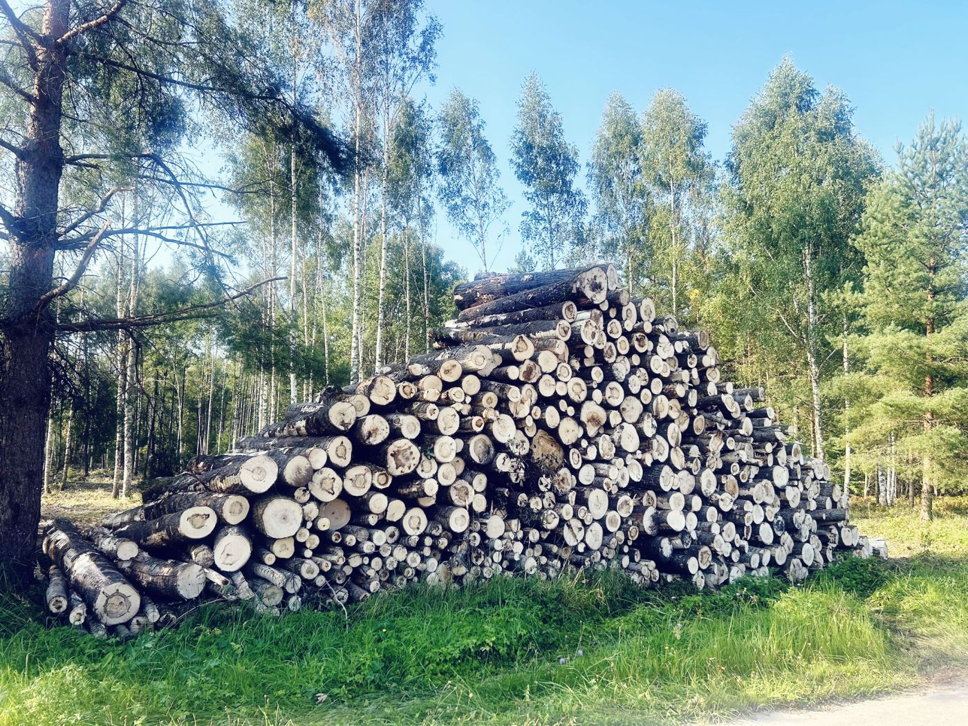 Harvestera pakalpojumi Forvardera pakalpojumi